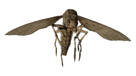Resident Evil 7 Bug