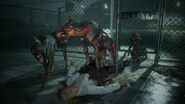 Zombie Dogs eating the corpse of a dead man