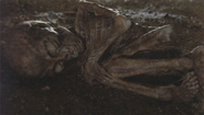 Resident Evil 7 D-Type mummy