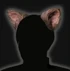 RE2 Remake Accessory Cat Ears Icon