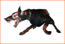 Zombiedog ene