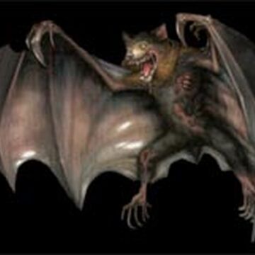 pics Bat Wiki infected bat resident evil wiki fandom
