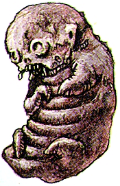 Chimera | Resident Evil Wiki | Fandom