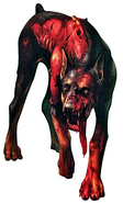 Cerberus in Resident Evil 0