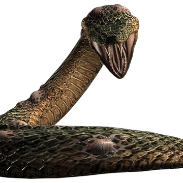resident evil wiki fandom