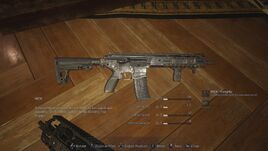 With Foregrip