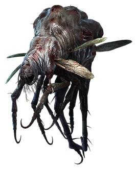 Glasp render