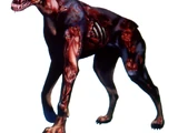 Cane zombi