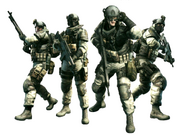 BSAA Force