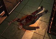 Dario Rosso.jpg (88 KB) Il cadavere di Dario Rosso