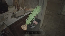 RESIDENT EVIL 7 biohazard Herb examine