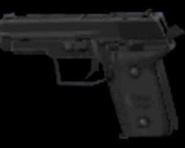 Handgun-sg