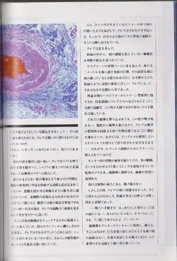 Biohazard 2 Image Story Resident Evil Wiki Fandom