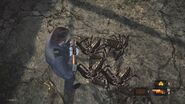 Giant Whip Spiders surrounded Barry