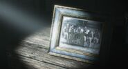 Mad Dogs photo
