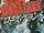 BIOHAZARD Rose Blank Japanese cover.png