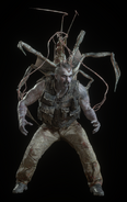 Araña