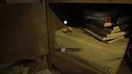 Location during Bedroom