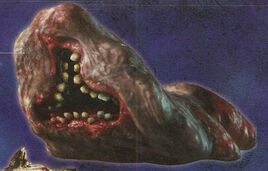Scan13