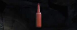 Empty Bottle (2)