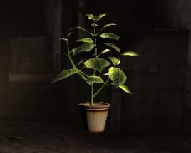 Green Herb (Revelations 2)