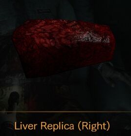 Liver Replica Right