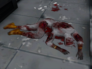 Unnamed Umbrella Researcher's corpse (First Person mod)