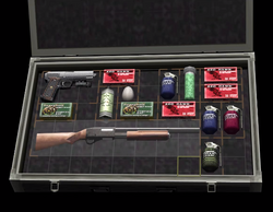 Resident Evil 4 Attaché Case: 'Gold' on Steam