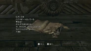 RE5 Nintendo Switch - JPN Village Youth's Diary (13)
