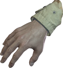 RE8 KeyItem Severed Hand