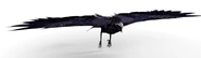 Crow-0.png (149 KB) Ditto
