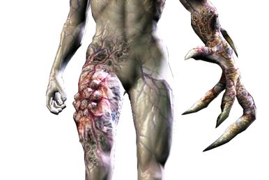 【希少・ネメシスパーツ付】バイオハザード Vol.16 タイラント(T-002) Tyrant (T-002 Model) | Resident Evil Wiki | Fandom