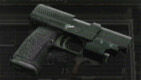 RE4Weapon Punisher.jpg