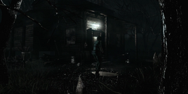 Cabin