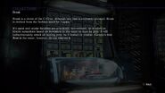 In-game version