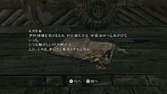 RE5 Nintendo Switch - JPN Village Youth's Diary (5)