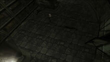 Youtu.be-mkX3X-Vl3So (1)