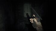 BIOHAZARD 7 resident evil cloud version (4)