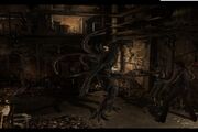 Marcus5