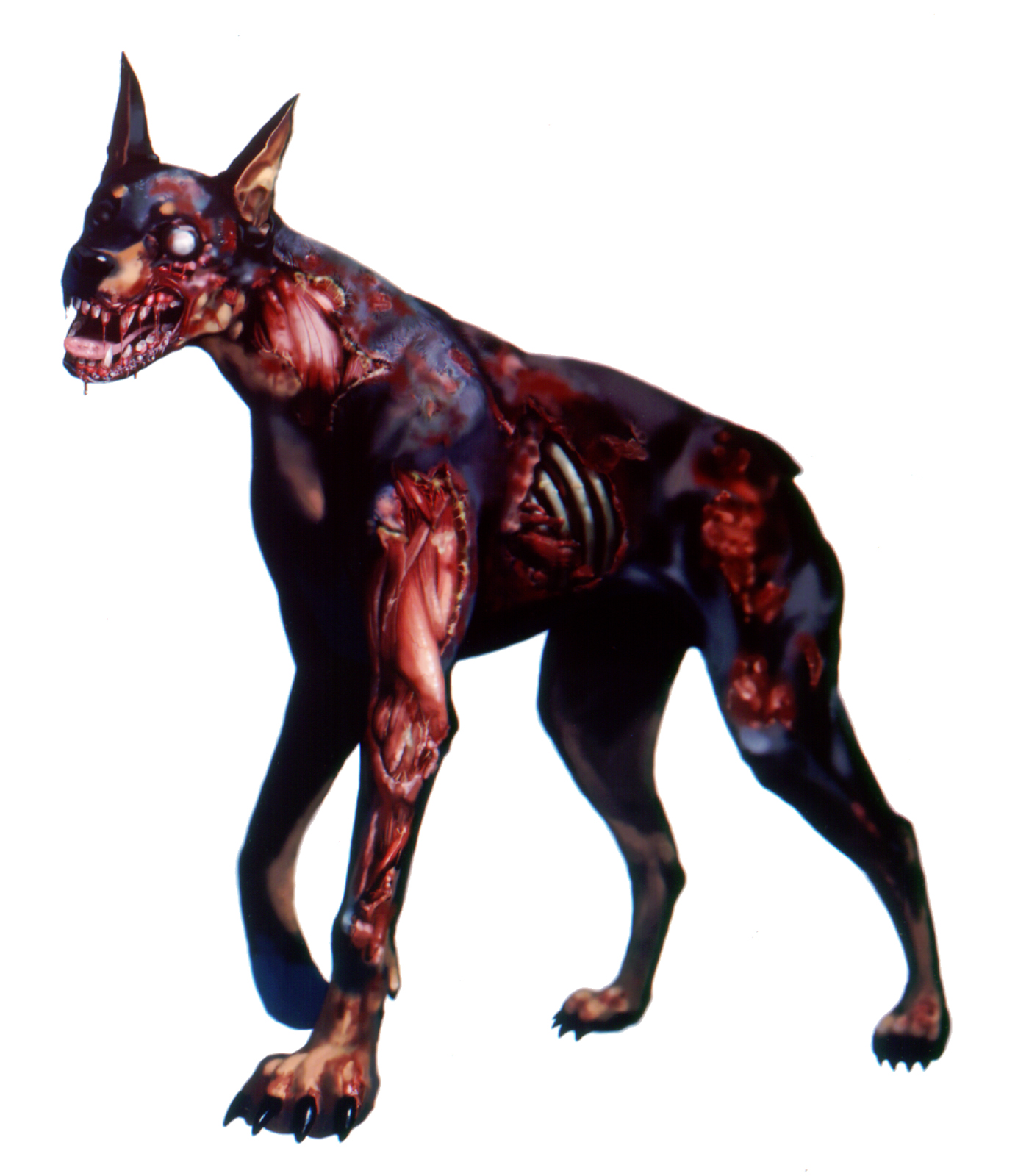 Zombie doberman sales