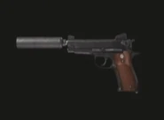 Dead aim gun.jpg (5 KB)