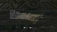 RE5 Nintendo Switch - JPN Village Youth's Diary (9)