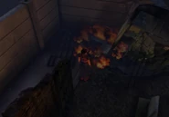 First usage for the TG-01