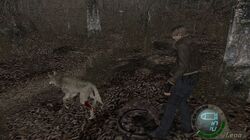 Resident Evil 4: O lobo morreu? Como encontrar o cachorro ajudante do game