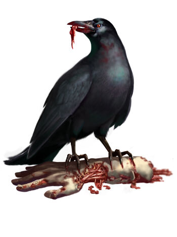 Enemies crow