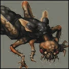 Scissor Tail.jpg (9 KB)