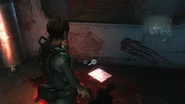 Rachel's diary location