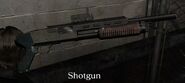 Shotgun pick up icon in-game