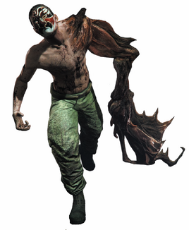 Ruka-Srp Render