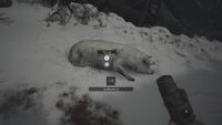 RE8 Meat (1)